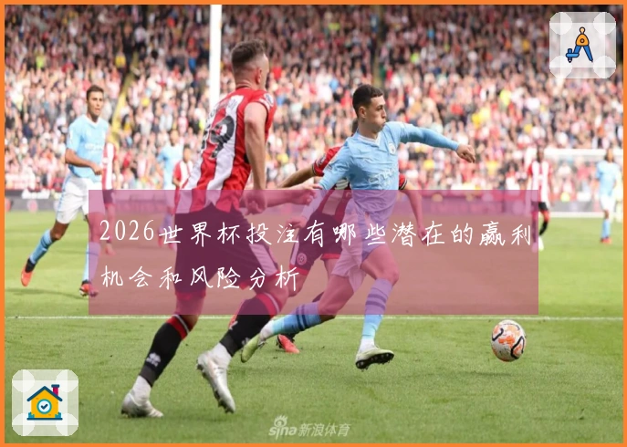 2026世界杯投注有哪些潜在的赢利机会和风险分析