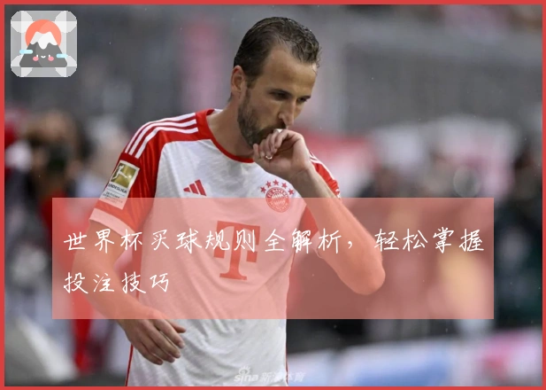 世界杯买球规则全解析，轻松掌握投注技巧