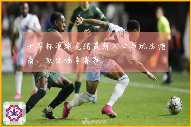 世界杯滚球竞猜最新入口与玩法指南，助你畅享赛事！