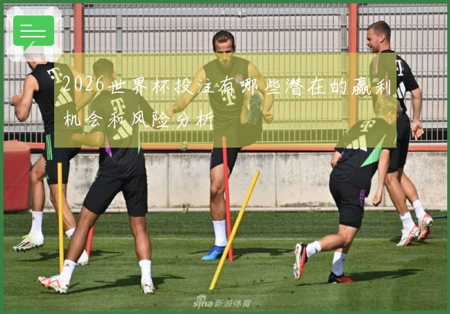 2026世界杯投注有哪些潜在的赢利机会和风险分析
