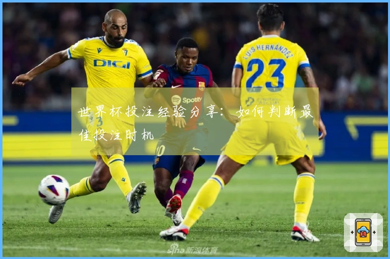 世界杯投注经验分享：如何判断最佳投注时机