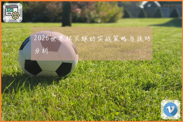 2026世界杯买球的实战策略与技巧分析