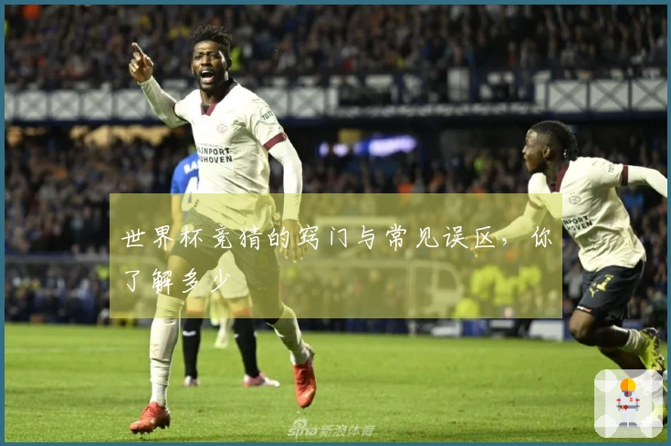世界杯竞猜的窍门与常见误区，你了解多少
