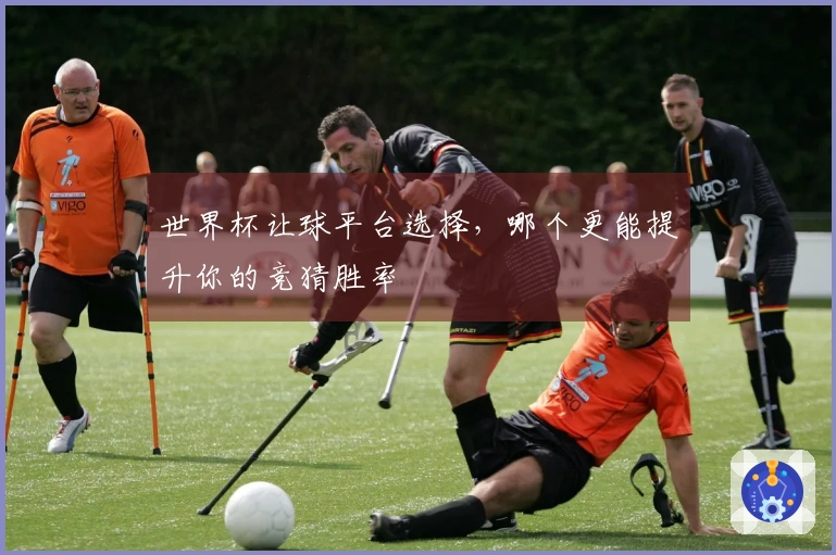 世界杯让球平台选择，哪个更能提升你的竞猜胜率