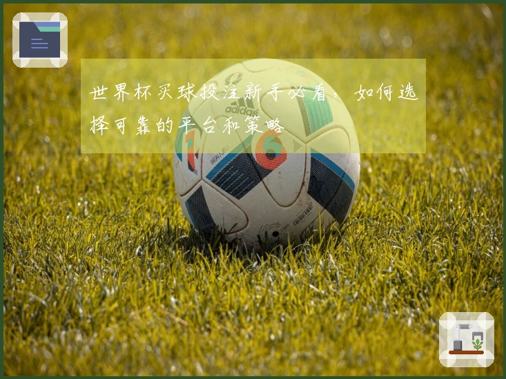 世界杯买球投注新手必看，如何选择可靠的平台和策略