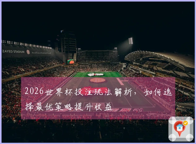 2026世界杯投注玩法解析，如何选择最优策略提升收益