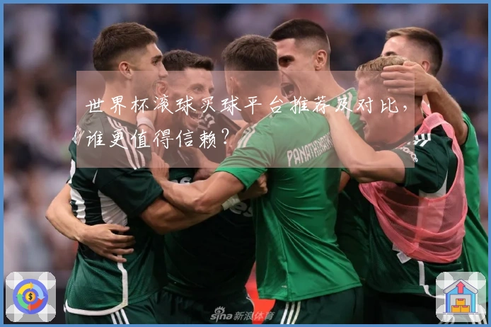 世界杯滚球买球平台推荐及对比，谁更值得信赖？