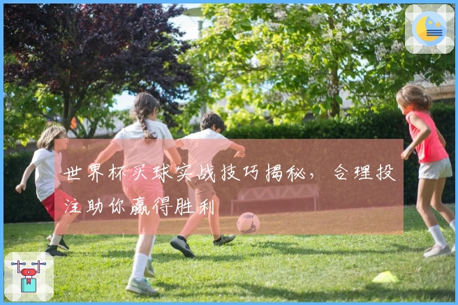 世界杯买球实战技巧揭秘，合理投注助你赢得胜利