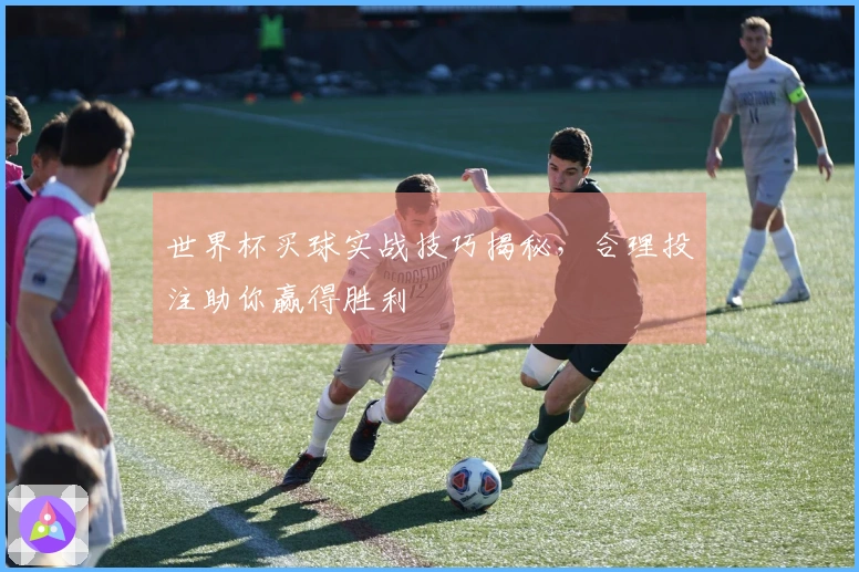 世界杯买球实战技巧揭秘，合理投注助你赢得胜利